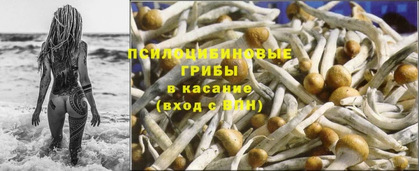 кокс Карпинск