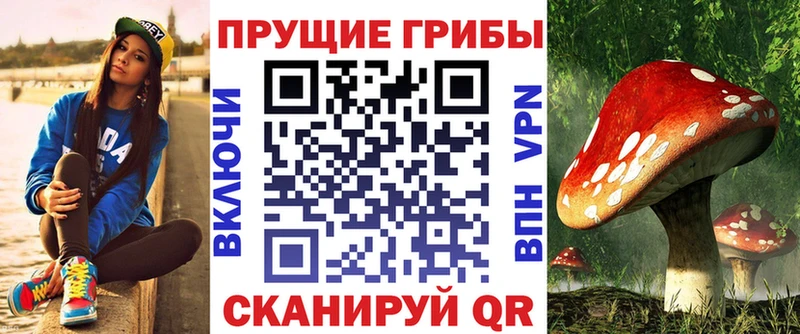 закладка  Новороссийск  Галлюциногенные грибы прущие грибы 