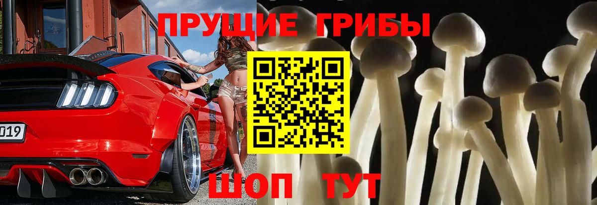 Псилоцибиновые грибы ЛСД Новороссийск