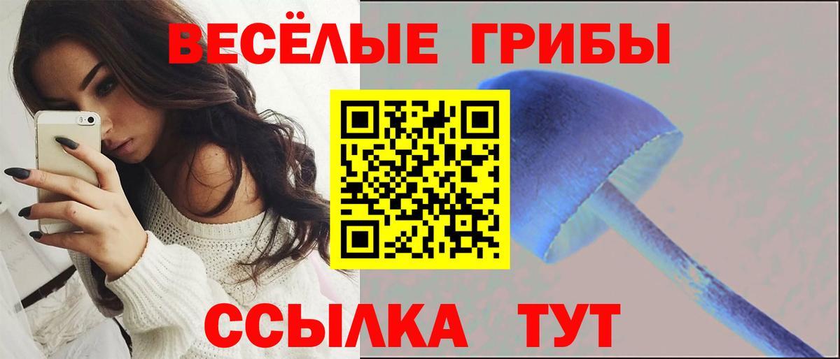 Псилоцибиновые грибы Cubensis  Вход с VPN  Новороссийск 