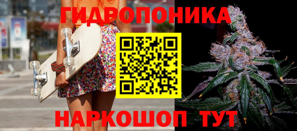 Бошки марихуана VHQ Новороссийск